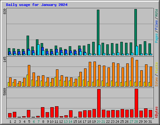 Daily usage for January 2024