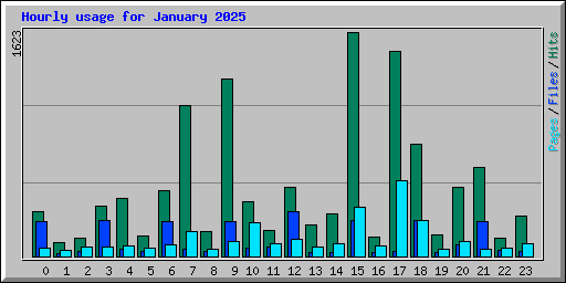 Hourly usage for January 2025