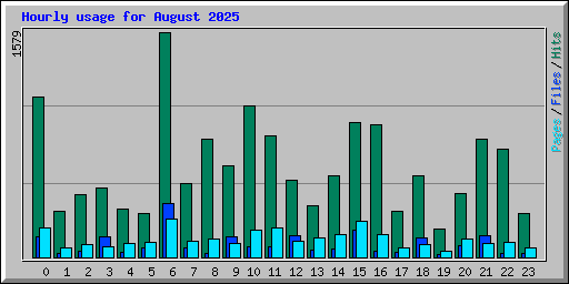 Hourly usage for August 2025
