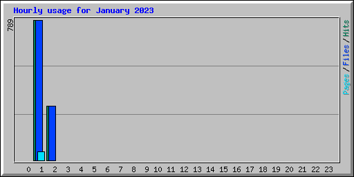 Hourly usage for January 2023